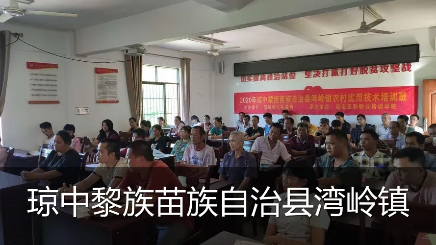 琼中黎族苗族自治县湾岭镇