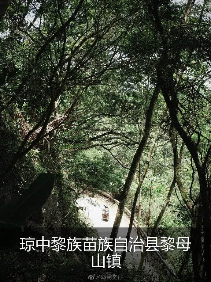 琼中黎族苗族自治县黎母山镇